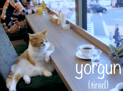 Turkish word:yorgun - tired, in need of sleep
