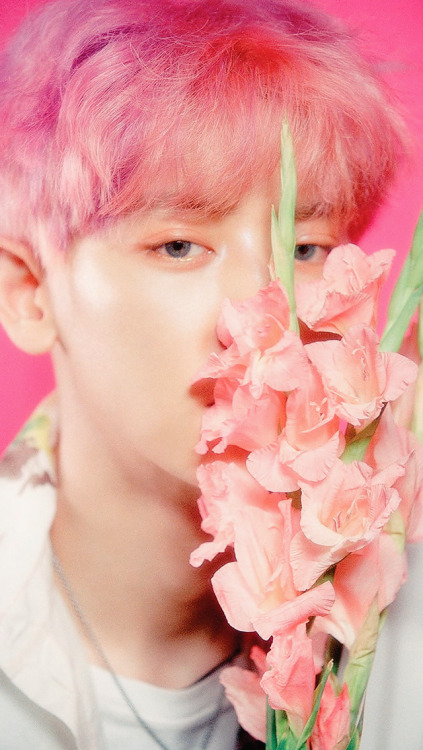 park chanyeol wallpapers {for cellphone}like if you saverequest more hereenjoy!