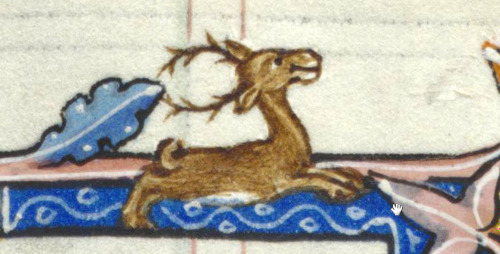 smiling deer (about a half of inch long)&lsquo;Peterborough psalter&rsquo;, England 14t