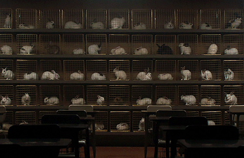 neillblomkamp:Us (2019) Directed by Jordan Peele