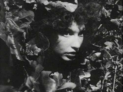 lepasau-dela:  Maya Deren, At Land (1944)