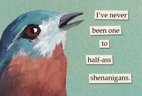 Hozier Songs As Troubled Bird Memes