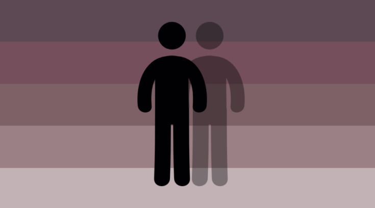 invisible ; a flag for folks who feel as if they are invisible to their peers due to some kind of neurodivergency, such as autism.