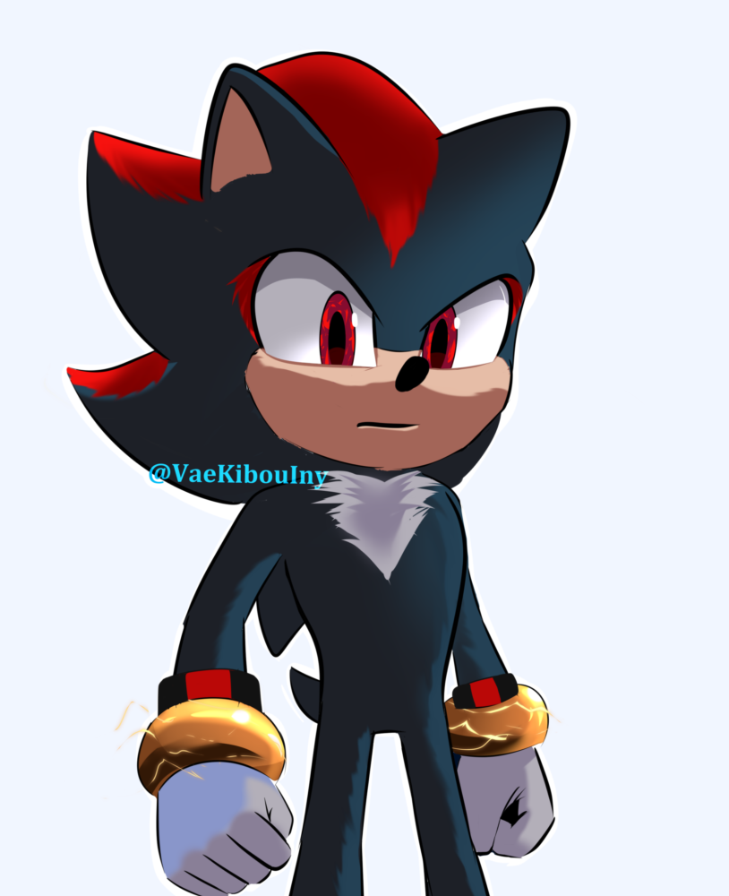 Pin by Yowie Wowie on Sonic  Shadow the hedgehog, Sonic, Hedgehog