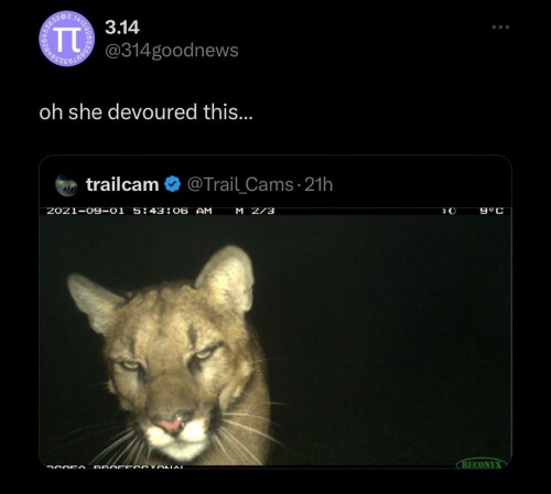 fffffffuh - hi