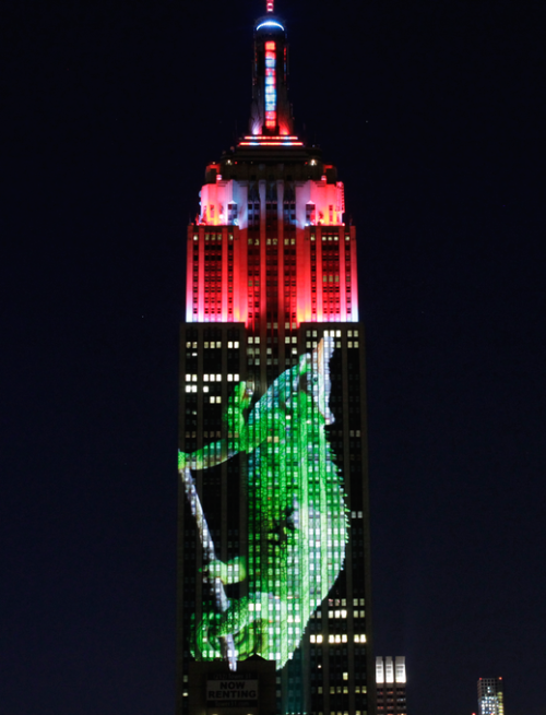 theverge: This weekend the Empire State Building became the face of extinction, with 40 stacked proj