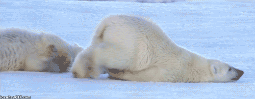 Animated GIFs