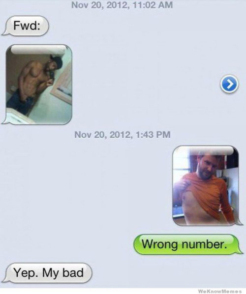 snowyspeight:tombesouslecharme:kabutocub:Flawless Responses to a Wrong Number TextInice cat