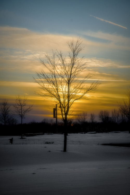 studio452:Winter Sunset. LaSalle, ON.