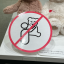 bearispooower