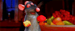recuerdoysonrio:  Ratatouille. ~ 