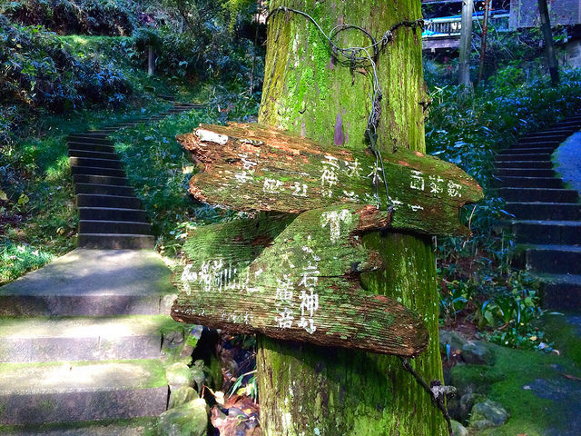 japan-overload:  how to avoid the crowd at Fushimi Inari… take the back route to