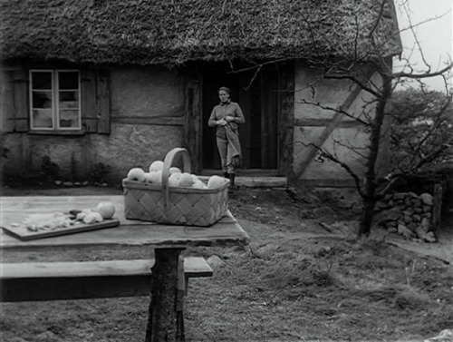 ozu-teapot:Vargtimmen (Hour of the Wolf) | Ingmar Bergman | 1968Liv Ullmann