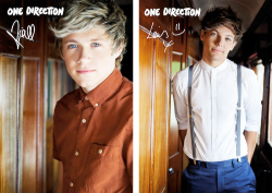 nananarry:  Take me Home poster collection 