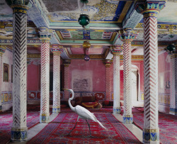 red-lipstick:  Karen Knorr - 1: Flight to Freedom, Juna Mahal, Dungarpur  2: The Maharajas Apartment, Udaipur City Palace, Udaipur  3: The Private Audience Aam Khas, Juna Mahal, Dungarpur  4: A Place Like Amravati, Udaipur City Palace, Udaipur  5: