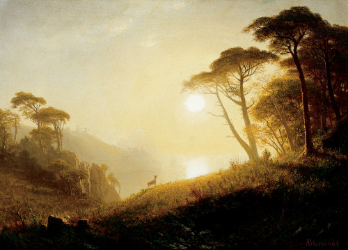 Scene in Yosemite Valley, Albert Bierstadt, 1864-74