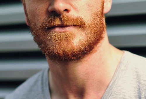 hawkeyesbowner:  Fassbeard. 