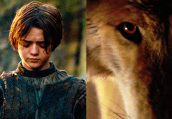 arthurdarvvill:  game of thrones meme: five houses [2/5]  ➤ House Stark  When