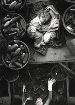 silfarione:  Baby on Cucumber Machine, Kent County, Ontario, Canada. Photo by Larry Towell. 