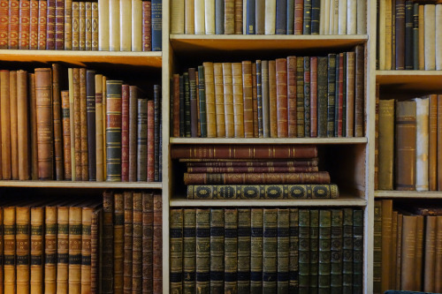 fer1972:  Leeds Castle Library Shelves by Christopher Brown