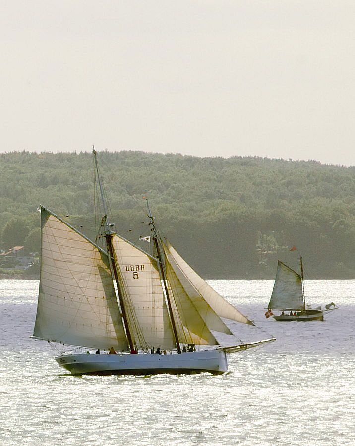 boatporn:  foresail:  That’s why you don’t put the labels at the same position