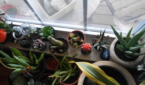 Yikes, shelf is getting full