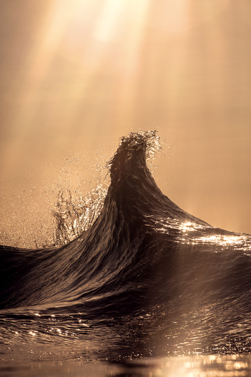 Summitwww.WarrenKeelan.comwww.instagram.com/WarrenKeelan