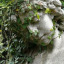 theivycreeps