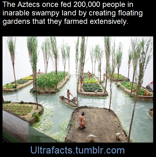 guayyaba:wildland-hymns:ultrafacts:How on earth would you feed a city of over 200,000 people when th