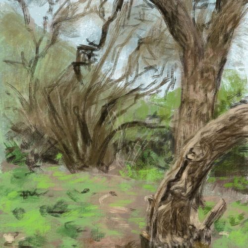 @retoyman digital landscape painting at Sycamore Park Malibu CA. #retoyman #digitalart #digitalpaint