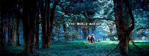 loversphilosophy:All shall fade