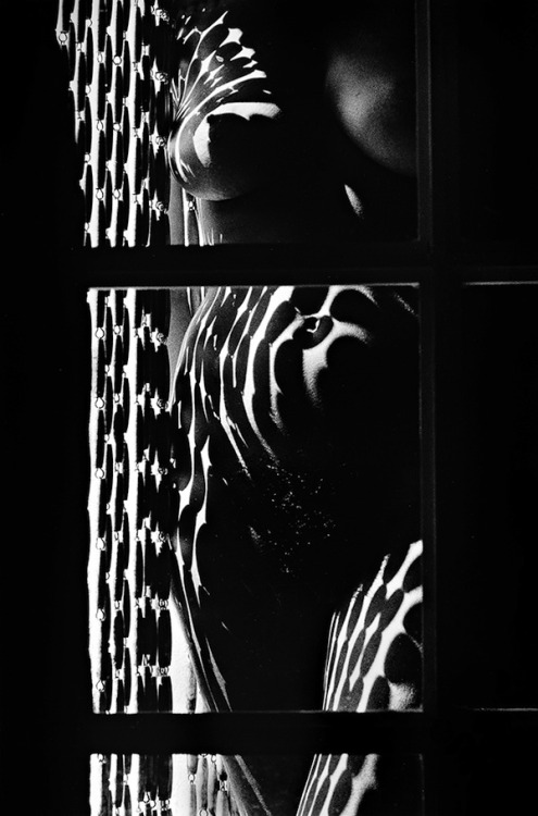 lauramcphee:  Liliane, 1986 (Pierre-Jean Amar) 