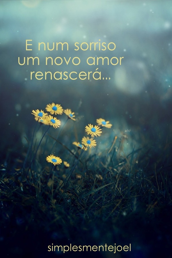VIAGENS SEM TEMPO NO TEMPO...