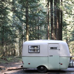 birdasaurus:  piperwinston:  1972 Boler Travel