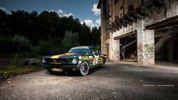 mirrorwave13:  1965 Ford Mustang Fastback Race Car by AmericanMuscle