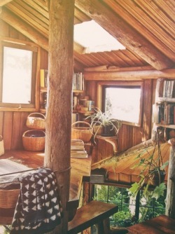 invocado:  You will LOVE my blog ♡