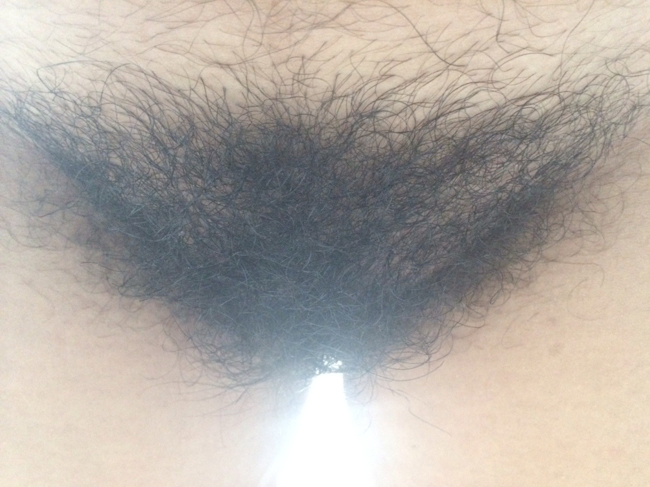 nevershaveyourbush:  Too nasty for you? Or is it too hairy for you?