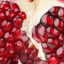 xpomegranatesx