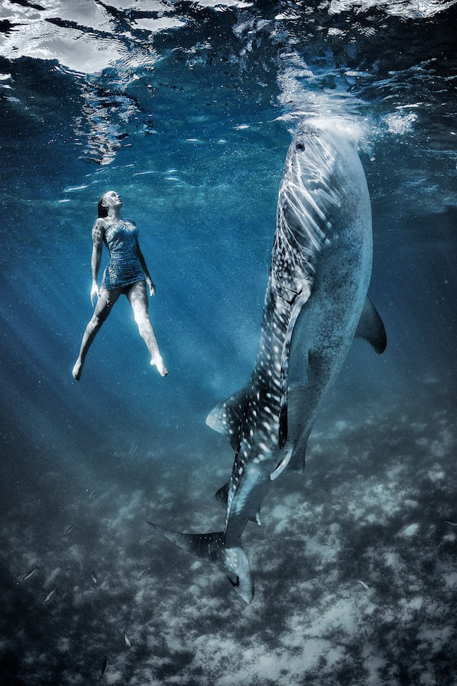 nubbsgalore:  photos by shawn heinrichs in oslob, philippines and isla mujeres,