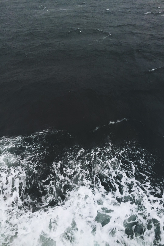 envyavenue:  Seattle 