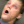darktiger57:YOU THERE! YES YOU! FIC READER! I just read a fic from 2013 and left a comment on the end. The author responded within 3 hours. Please leave comments on fics. It doesn’t matter if you don’t know what to say I literally made a joke