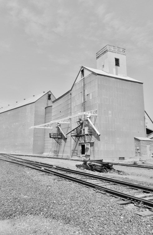 Grain Elevator and Tracks, St. John, Whitman County, Washington, 2014.