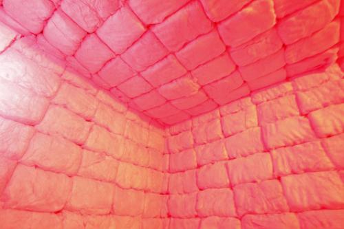 fer1972:  A Padded Cell made of Cotton Candy adult photos