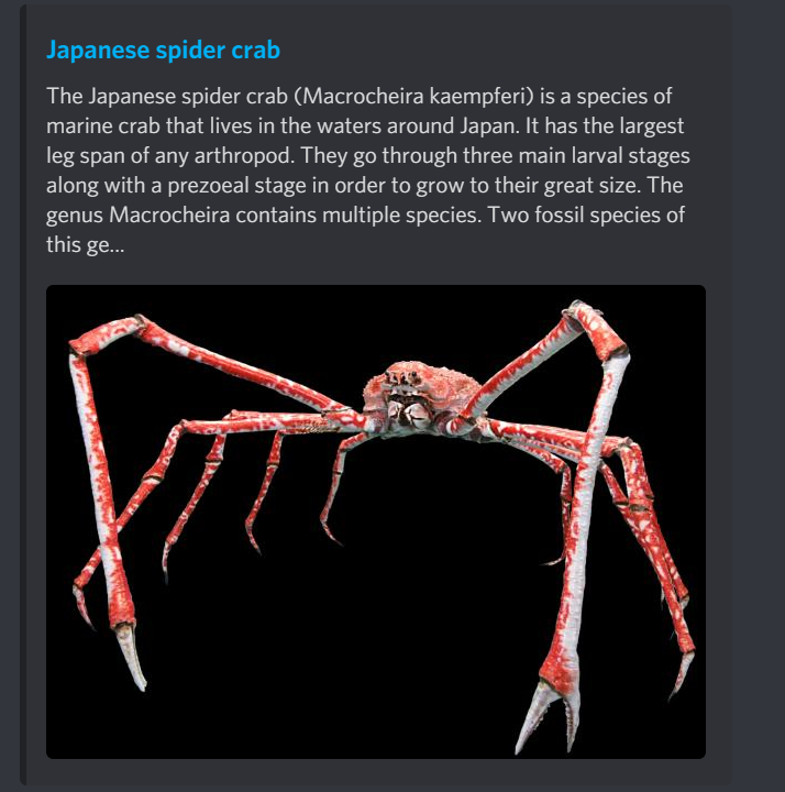 Spider Crab Explore Tumblr Posts And Blogs Tumgir