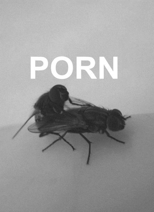 Spank her hard & Fuck her harder