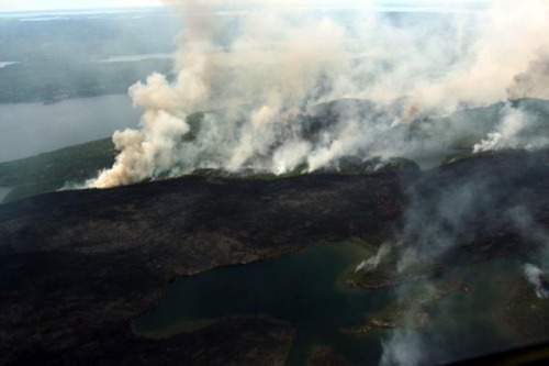 ARCTIC FORESTS BURNING AT FASTEST RATE IN 10,000 YEARS In a sign of how swiftly and extensively clim