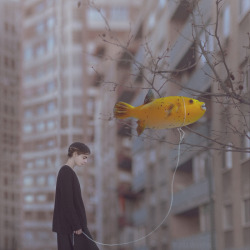 darksilenceinsuburbia:  Anka Zhuravleva Color Tales