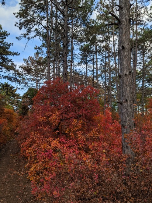 "There Is No Better Time Than The Autumn To Begin Forgetting The Things That Trouble Us, Allowing Them