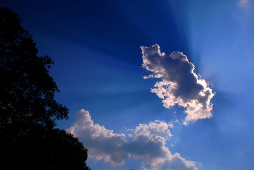 Getting my toesies wet in the reservoir, it was such a lovely day there and the clouds were amazing&