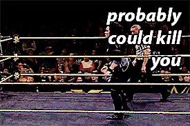 gunsandambroses:  The women of NXT. 